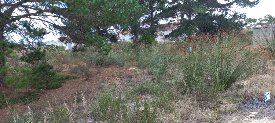 0 Bedroom Property for Sale in Albertinia Western Cape